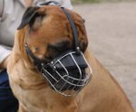 Wire Basket Dog Muzzle for Bullmastiff-Cage basket muzzles