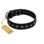 "Immense Power" Handcrafted FDT Artisan Black Leather Bullmastiff Collar with Small Dotted Pyramids