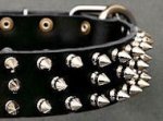 Canine Deluxe Spiked Leather Dog Collar for Bullmastiff