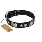 "Grand Wear" FDT Artisan Black Leather Bullmastiff Collar with Shining Plates and Spiked Studs