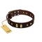 "Blinking Illusion" FDT Artisan Brown Leather Bullmastiff Collar with Old Bronze-like Studs and Plates