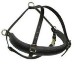 Full Chest Latigo Roading Harness for Bullmastiff