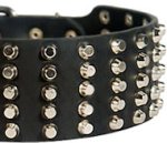 Pyramid Studs on Leather Dog Collar for Bullmastiff