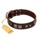 "Object of Virtu" FDT Artisan Brown Leather Bullmastiff Collar with Old Silver-like Square Studs and Pyramids