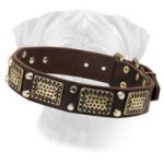 Leather Bullmastiff Collar with Old Nickel Plates and Pyramids