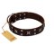 "Bigwig Woof" FDT Artisan Brown Leather Bullmastiff Collar with Chrome Plated Stars and Square Studs
