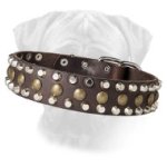 Leather Вullmastiff Collar with Pyramids and Studs Bump and Bits
