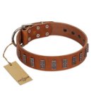 "Silver Century" Fashionable FDT Artisan Tan Leather Bullmastiff Collar with Silver-Like Plates