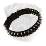 Bullmastiff Collar Spiked Black Nylon