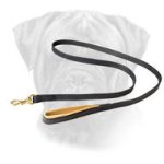 Comfortable Leather Bullmastiff Leash with Support Material on the Handle