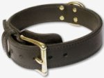 Leather Working Dog Collar for BULLMASTIFF - 2 ply leather collar