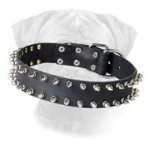 Top-grade Leather Bullmastiff Dog Collar with Spikes