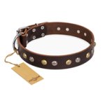 "Rare Flower" FDT Artisan Brown Leather Bullmastiff Collar Adorned with Old-look Hemisphere Studs