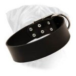 Gorgeous Wide Leather Walking Dog Collar for Bullmastiffs