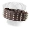 Extra Wide Leather Studded Bullmastiff Collar Cool Novelty