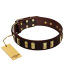 "Peace and Harmony" FDT Artisan Brown Leather Bullmastiff Collar with Plates
