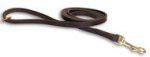 Have Leather Belt Leash - 1/2 wide leash for BULLMASTIFF