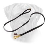 Nylon Bullmastiff Leash with Brass Plated Snap Hook for Walking and Training