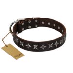 "Stars of Glory" FDT Artisan Brown Leather Bullmastiff Collar for Comfortable Walking
