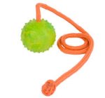 Training DOG BALL on a String-Dog Rubber Ball for Bullmastiff