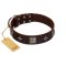 "Cold Star" Designer FDT Artisan Brown Leather Bullmastiff Collar with Silver-Like Adornments
