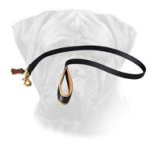 No Rubbing Nylon Bullmastiff Leash with Soft Handle