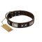 "Satin Beauts" FDT Artisan Brown Leather Bullmastiff Collar with Stars and Plates