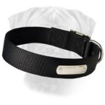 Great 2 Ply Nylon Dog Collar w/h name tag/Metal Buckle