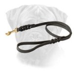 High Quality Leather Bullmastiff Leash for Walking