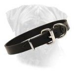 Bullmastiff Standard Leather Collar With Easy Fixed Buckle