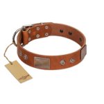 "Great Obelisk" Handcrafted FDT Artisan Tan Leather Bullmastiff Collar with Large Plates and Pyramids