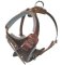 K9 Pro Leather Dog Harness for Bullmastiff