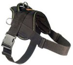 Looking for EzyDog Harness for Bullmastiff