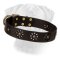 Spring Mood Leather Collar for Bullmastiff