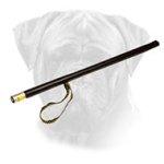 Agitation Stick For Bullmastiff Training