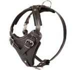 Black Leather Dog Harness for BULLMASTIFF