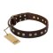 "Bronze Sheen" FDT Artisan Leather Bullmastiff Collar with Brass-Plated Studs