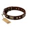 "Magic Amulet" Brown Leather Bullmastiff Collar with Skulls and Plates