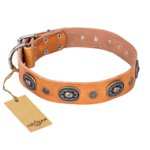 "Twinkle Twinkle" FDT Artisan Incredible Studded Tan Leather Bullmastiff Collar