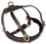 Leather Tracking Harness for Bullmastiff-Pulling Harness
