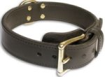 Plain Tough Leather Dog Collar for Bullmastiff