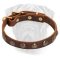 Fancy Studded Leather Dog Collar for Bullmastiff Puppy