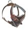 Medium Leather dog Harness for Bullmastif