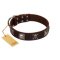 "Nut-Brown Finery" Embellished FDT Artisan Brown Leather Bullmastiff Collar with Chrome Plated Crossbones and Plates