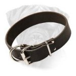 Bullmastiff Wide Leather Collar for Comfy Walking and Training