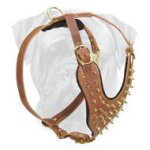 Designer Spiked Leather Dog Harness for Bullmastiff Breed Walking