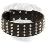 Wide Studded Leather Dog Collar for Bullmastiff