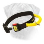 Modish Bullmastiff Quick Release Nylon Collar With Handle