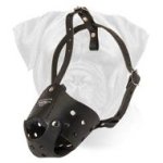 Everyday Walking / Training Bullmastiff Leather Muzzle