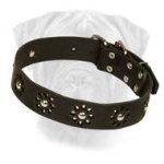 Bullmastiff Leather Collar with Flower Decor and Studs